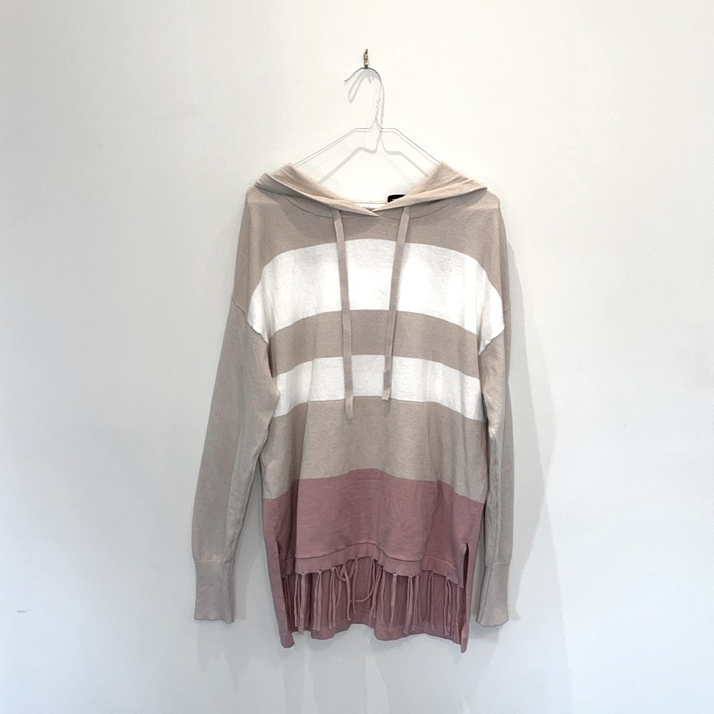 🩷Renuar Striped Hoodie